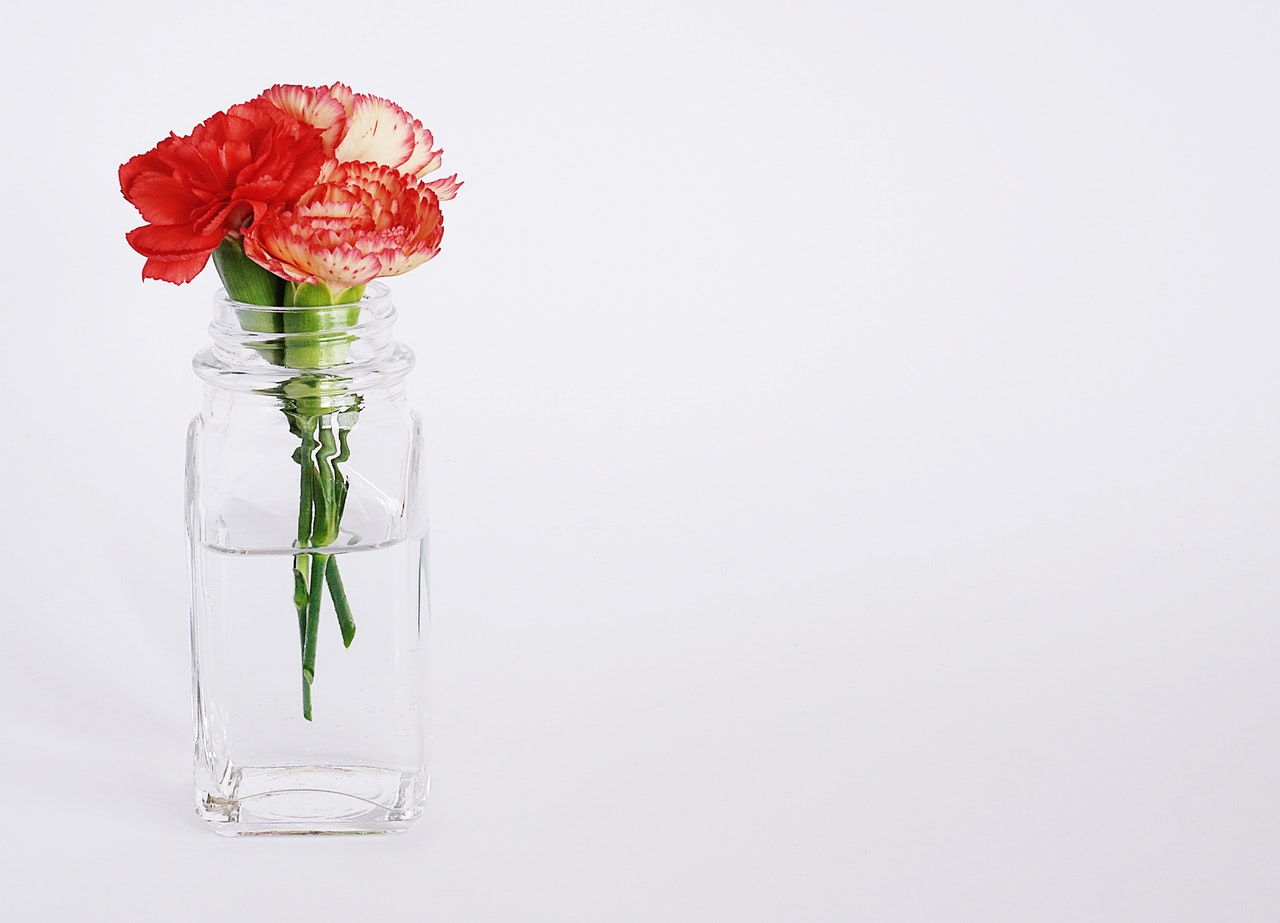 Ваза какие звуки. Цветы в вазе Минимализм. Цветы в вазе Минимализм маслом. Минимализм картинки ваза.